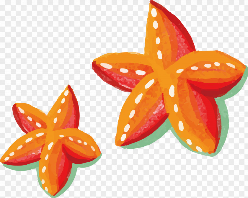 Orange Painted Starfish Watercolor Painting PNG
