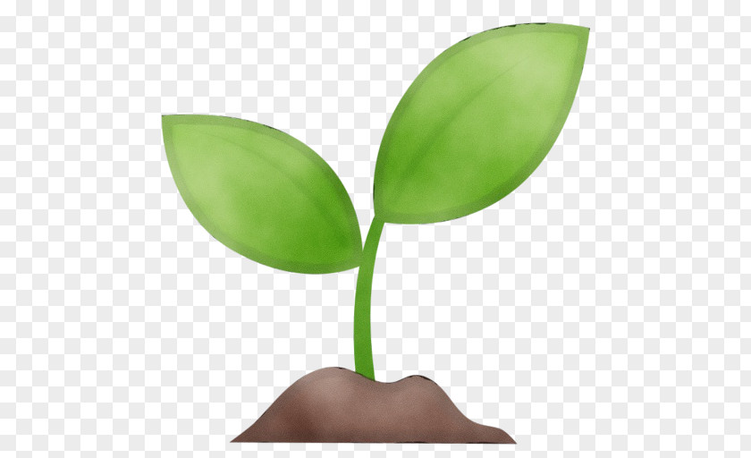 Plant Stem Green Leaf Logo PNG