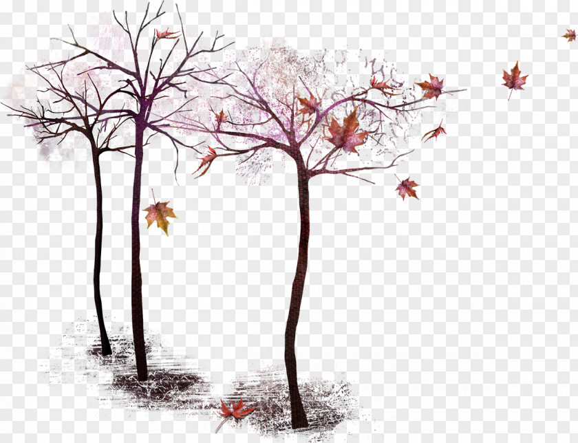 Tree Twig PNG