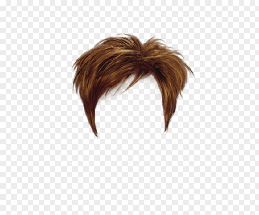 Wig Hairstyle Capelli PNG
