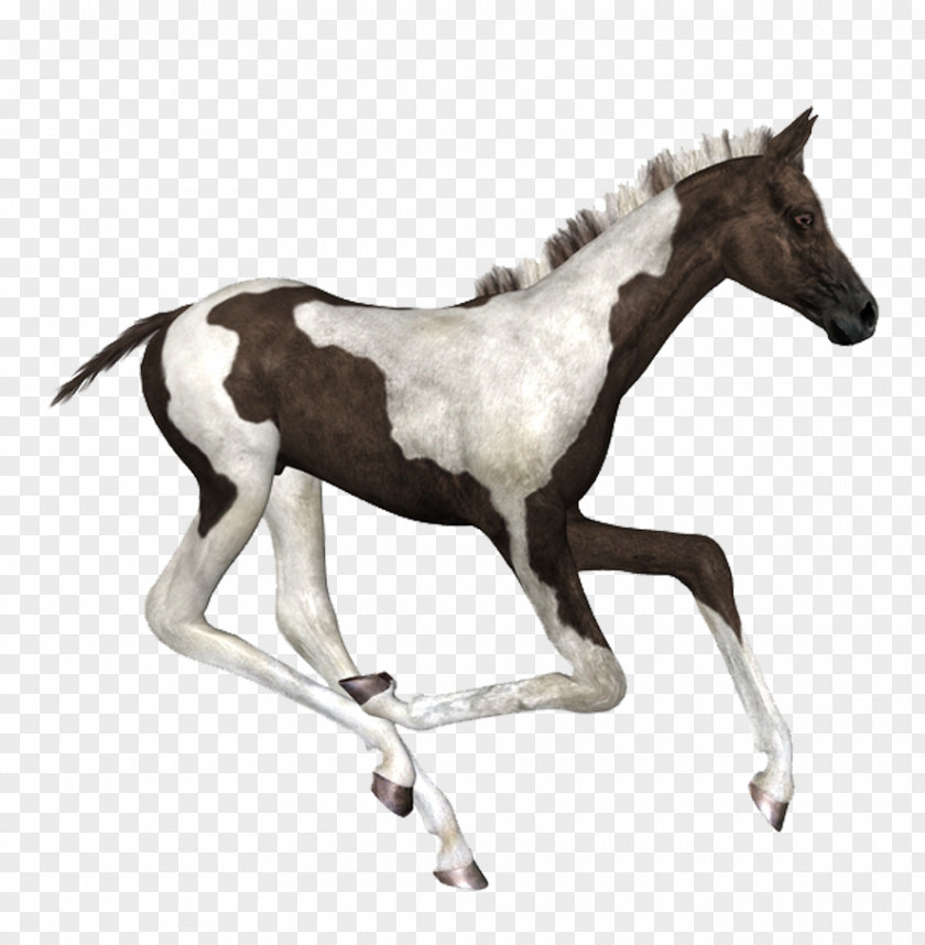 Hand-painted Horse Ink Brush PNG