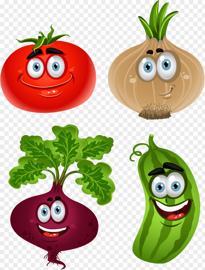 Massa Choux Vegetable Vector Graphics Clip Art Stock Photography Illustration PNG