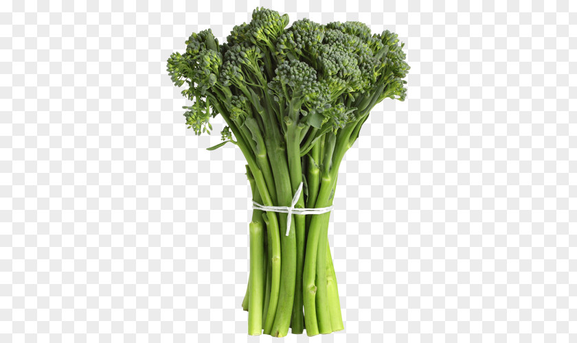 Vegetable Broccolini Spring Roll Cauliflower Blanching PNG