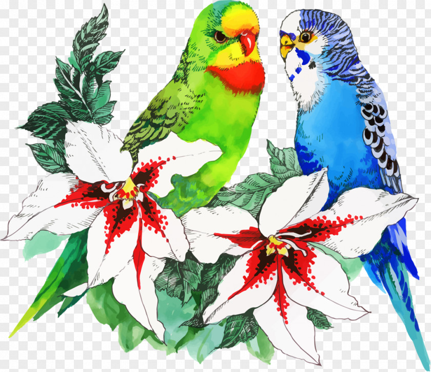 Watercolor Animals Bird Parrot Drawing Flower PNG
