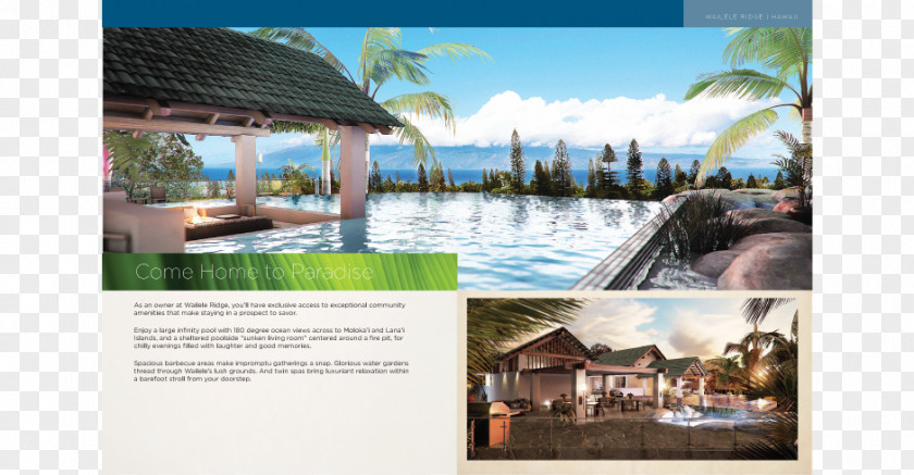 Agency Brochure Vacation Resort Property Advertising Tourism PNG