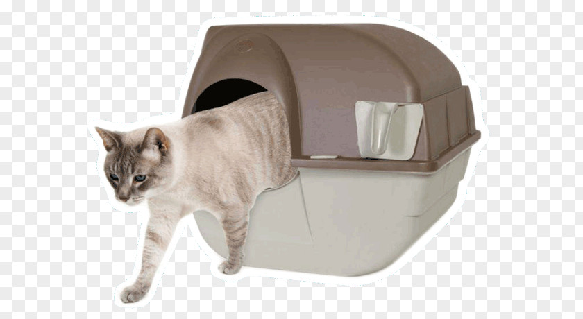 Cat Litter Trays Paw Box Pet PNG
