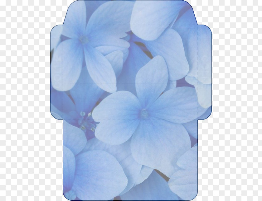 Flower Desktop Wallpaper Drawing PNG