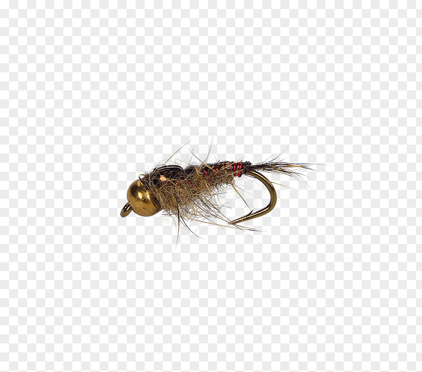 Fly Tying Artificial Fishing Nymph Pupa PNG