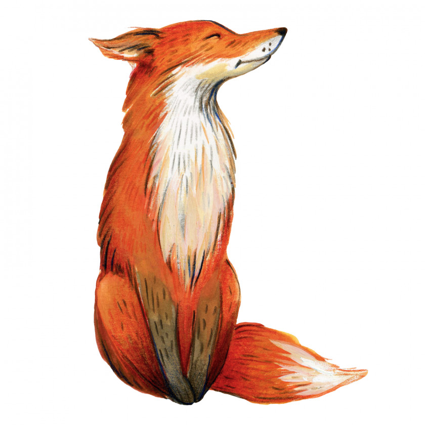 Fox Watercolor Painting Clip Art PNG