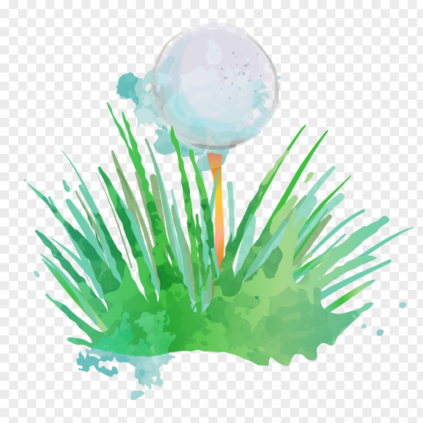 Golf Ball Club Watercolor Painting PNG