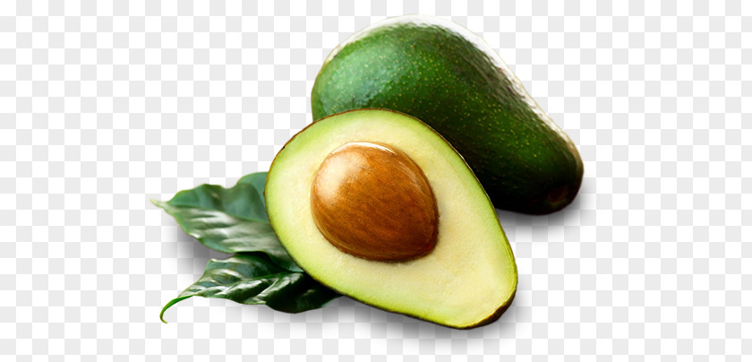 Hass Avocado Soup Oil Food Eating PNG
