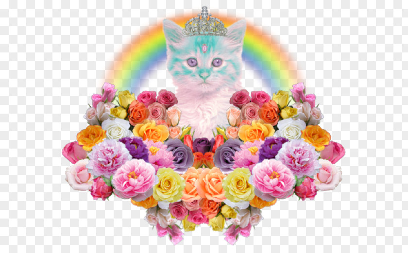 Kitten Cat YouTuber Soft Grunge PNG