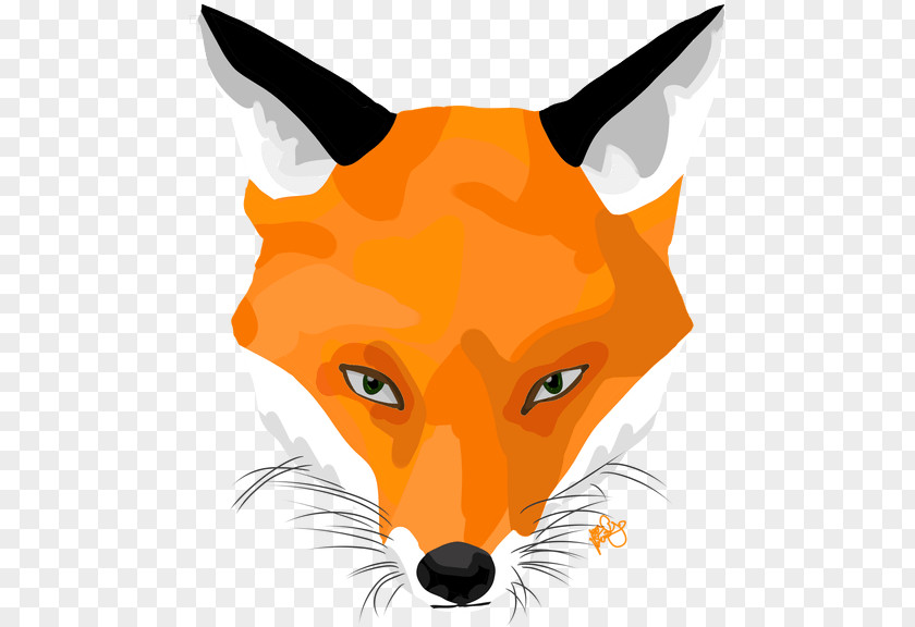 Red Fox Head Snout Whiskers PNG
