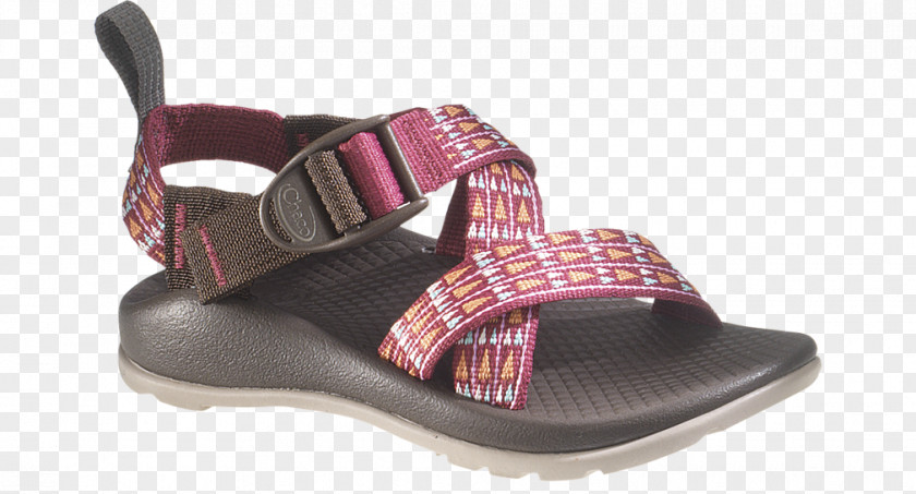 Sandal Chaco Slide Shoe Cross-training PNG