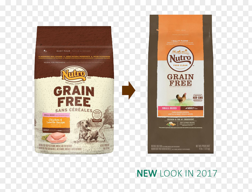 Small Dog Chicken Puppy Dachshund Food Nutro Products PNG