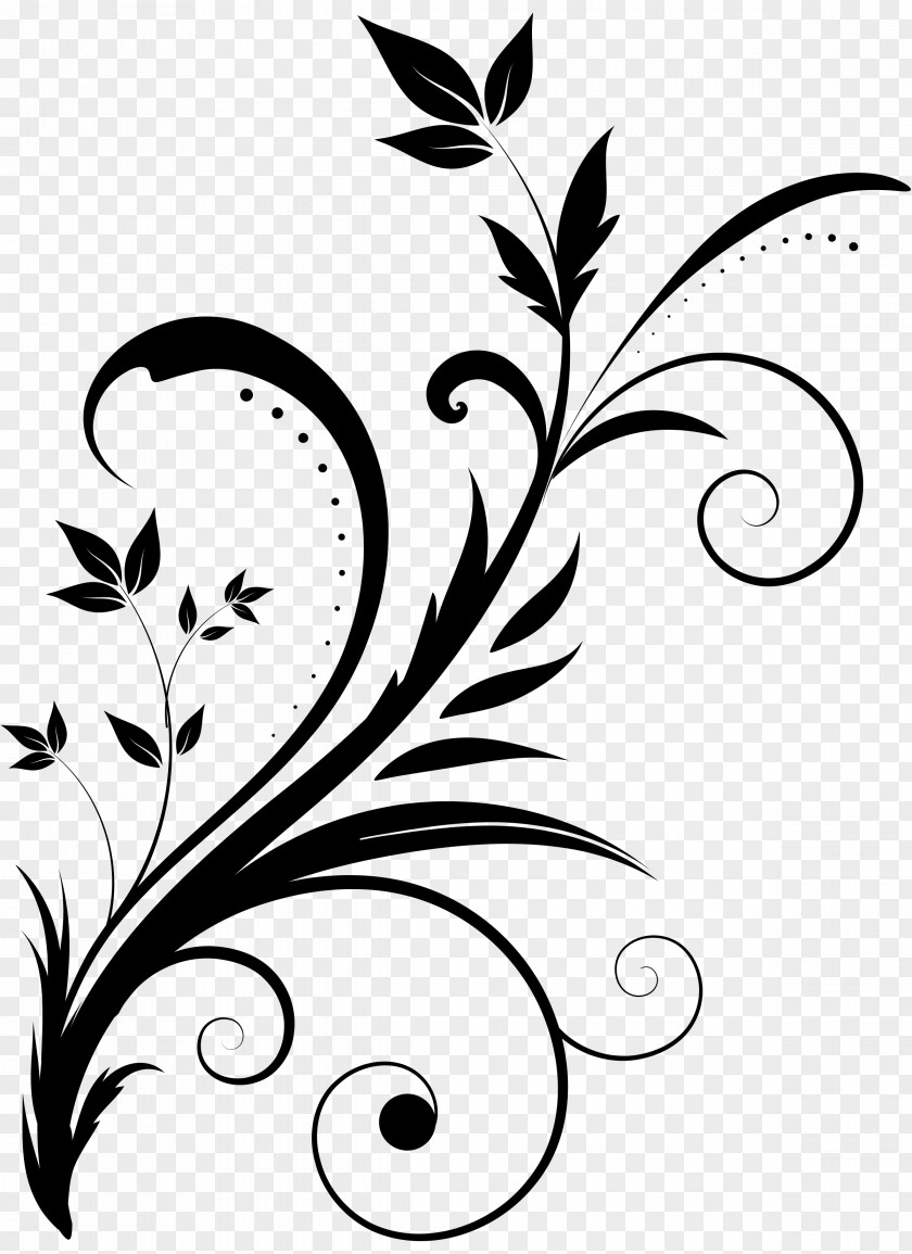 Swirl Vector Drawing Clip Art PNG