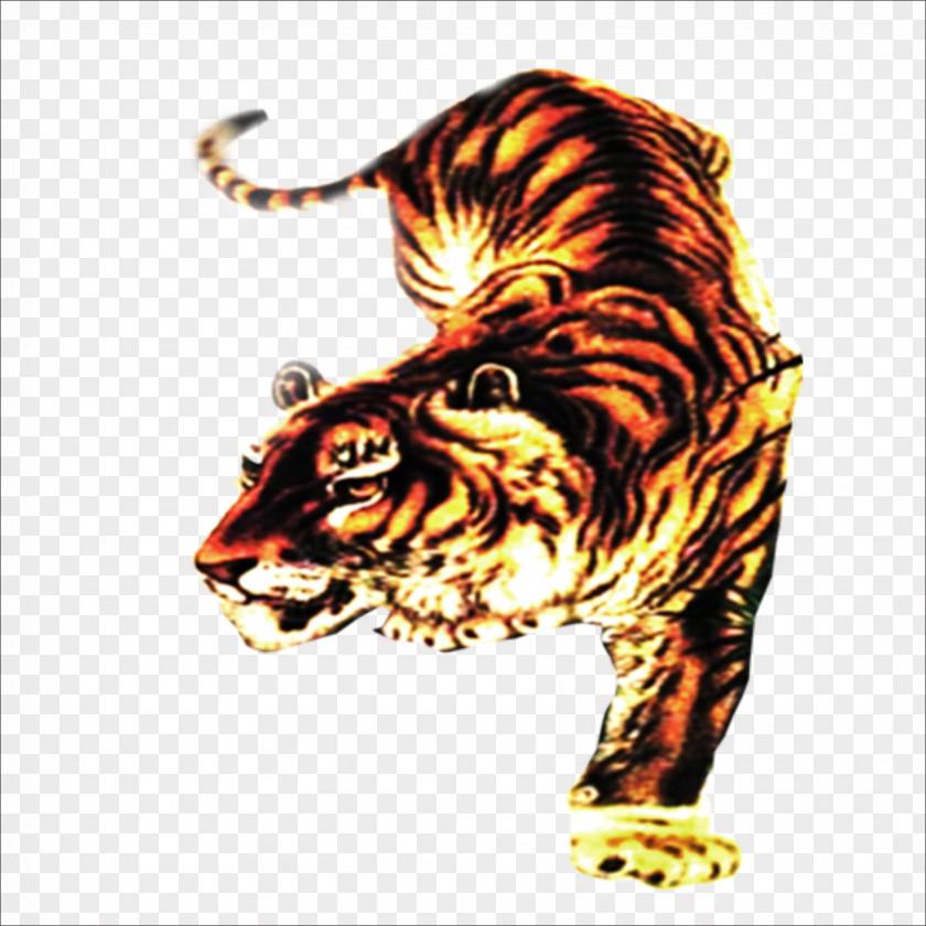 Tiger Cat Roar Illustration PNG