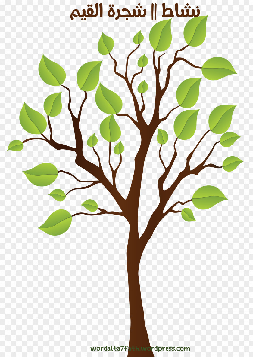 Tree Twig Qur'an Branch PNG