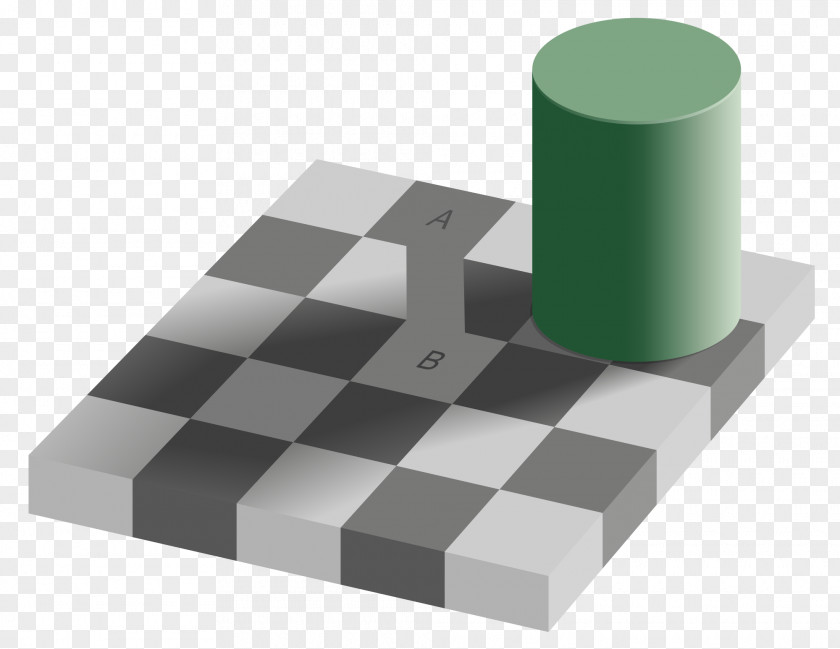 Brain The Dress Checker Shadow Illusion Optical PNG