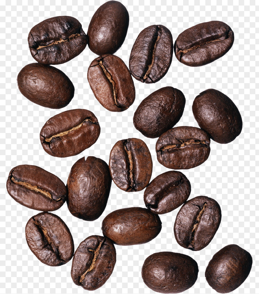 Coffee Beans Bean Cafe Burr Mill Grinding Machine PNG