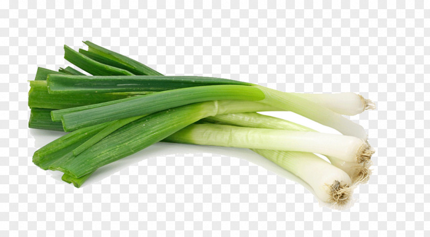Organic Vegetables Green Onions Scallion Shallot Vegetable Garlic Food PNG