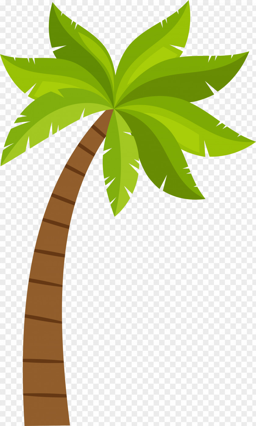 Cartoon Coconut Tree Pattern Arecaceae PNG