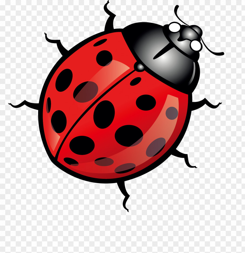 Cartoon Red Bug Beetle Ladybird Euclidean Vector Clip Art PNG