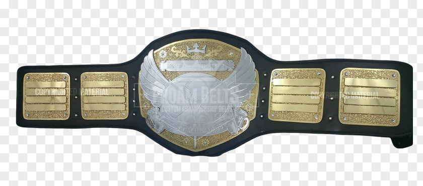 Championship Belt Professional Wrestling X Division National Alliance PNG