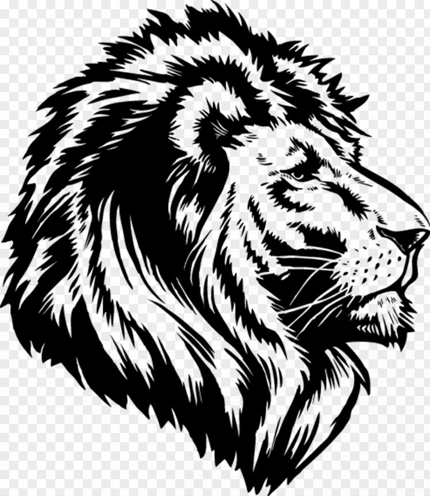 Lioness Roar Transparent Image Lion T-shirt Clip Art PNG