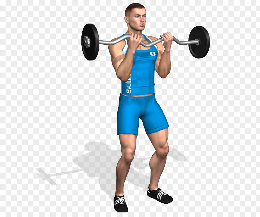Barbell Weight Training Biceps Curl Dumbbell PNG