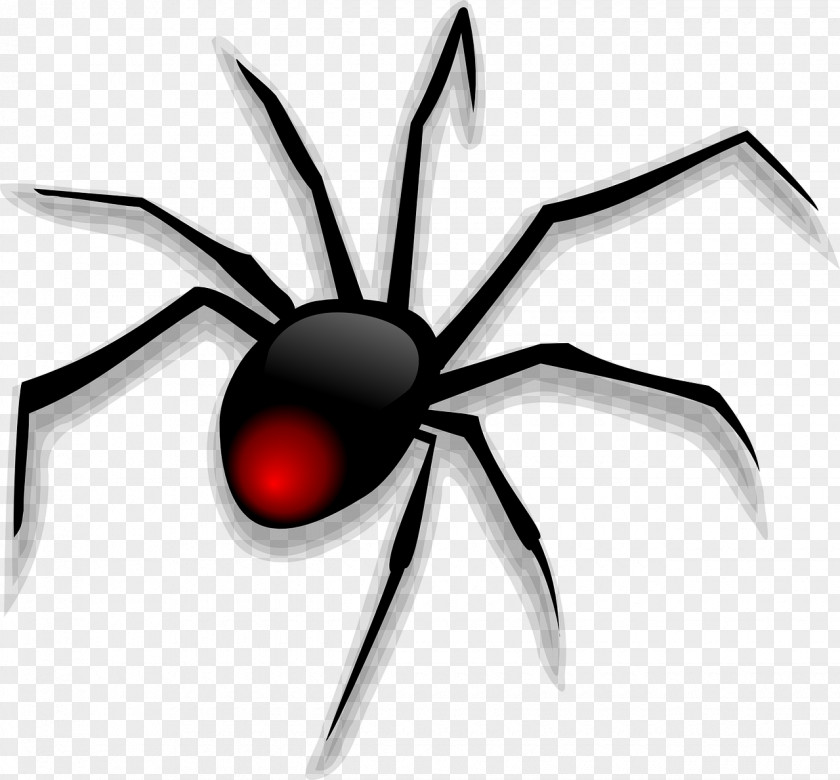 Black Spider Cartoon Clip Art PNG