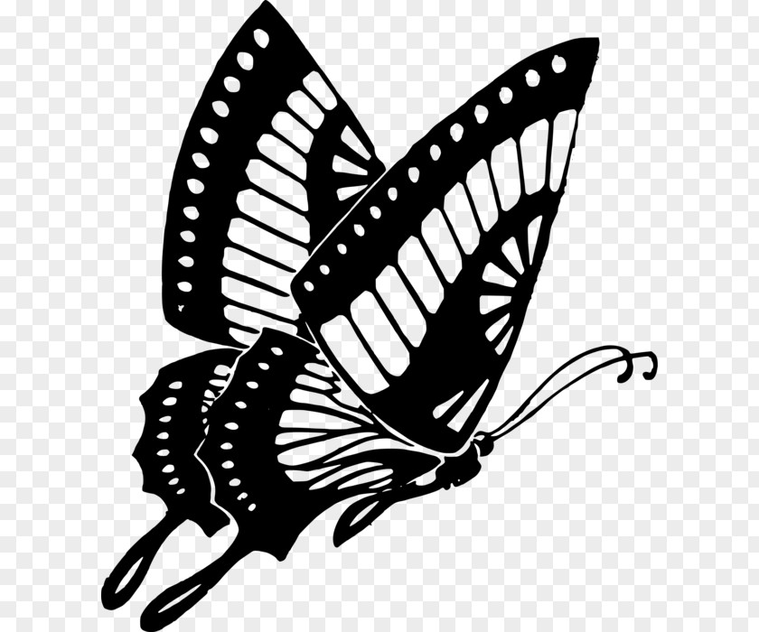 Butterfly Black And White Insect Clip Art PNG