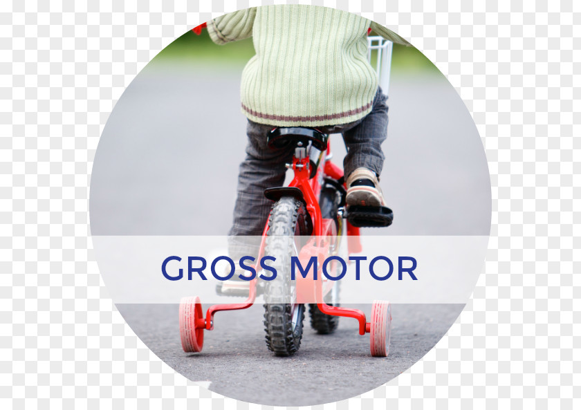 Fine Motor Skills Bicycle Helmets Stock Photography Cycling PNG