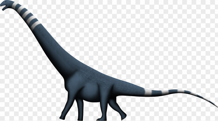 Lived Puertasaurus Dinosaur Size Alamosaurus Amphicoelias Argentinosaurus PNG