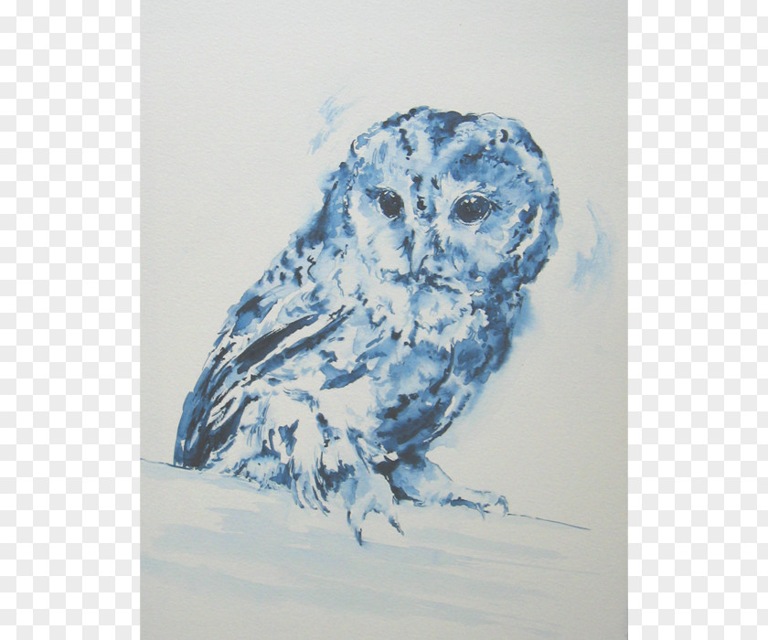 Owl Tawny Painting Udaipur Lion PNG
