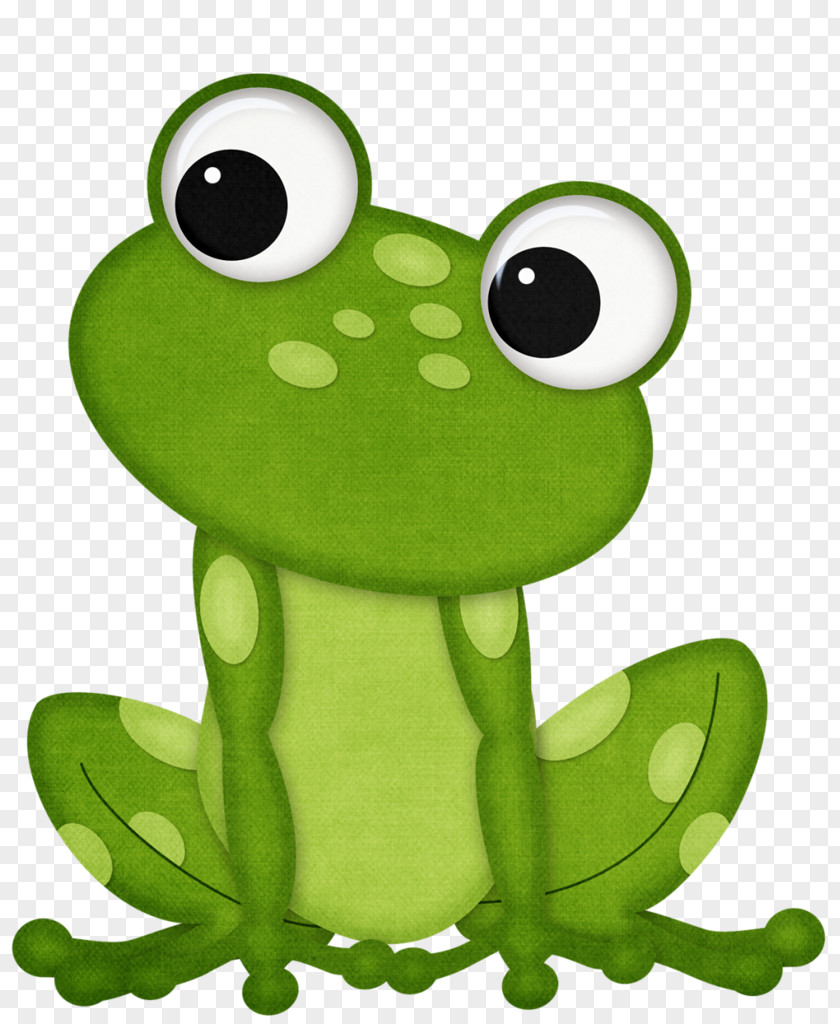 Boy Frog Fountain Clip Art Amphibians Image PNG