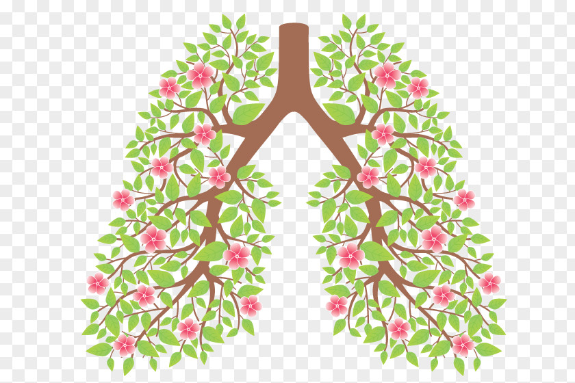 Health Smoking Cessation Lung Ban Drawing PNG