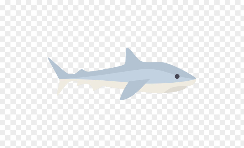 Tiger Shark Squaliform Sharks Marine Biology Mammal Requiem PNG