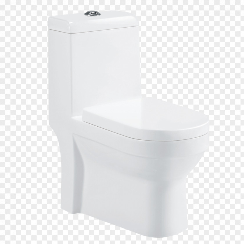 Toilet Dual Flush Rona Lowe's PNG