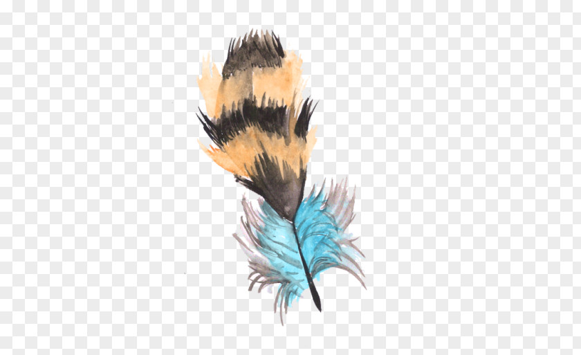 Betta Illustration Feather PNG