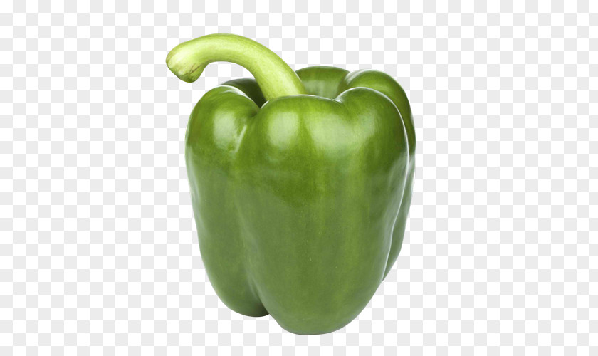 Green Pepper Bell Chili Vegetable Organic Food PNG