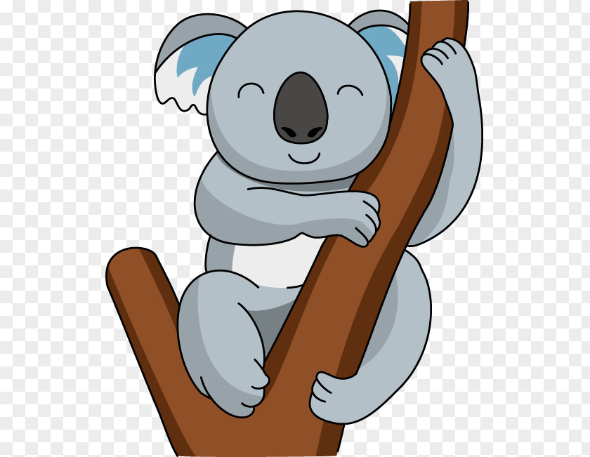 Koala Bear Giant Panda Wombat Clip Art PNG