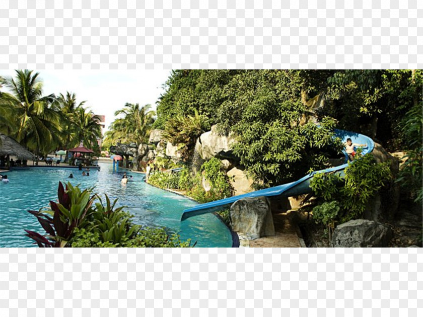 Langkawi Aseania Resort Water Park Swimming Pool Leisure PNG