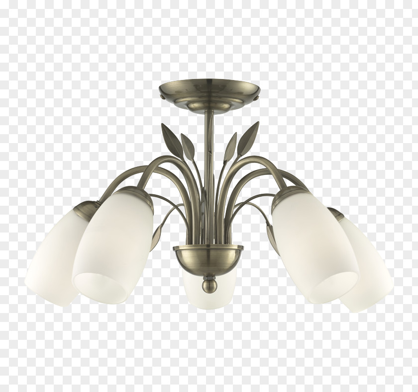 Light Lighting Edison Screw Brass Plafonnier PNG