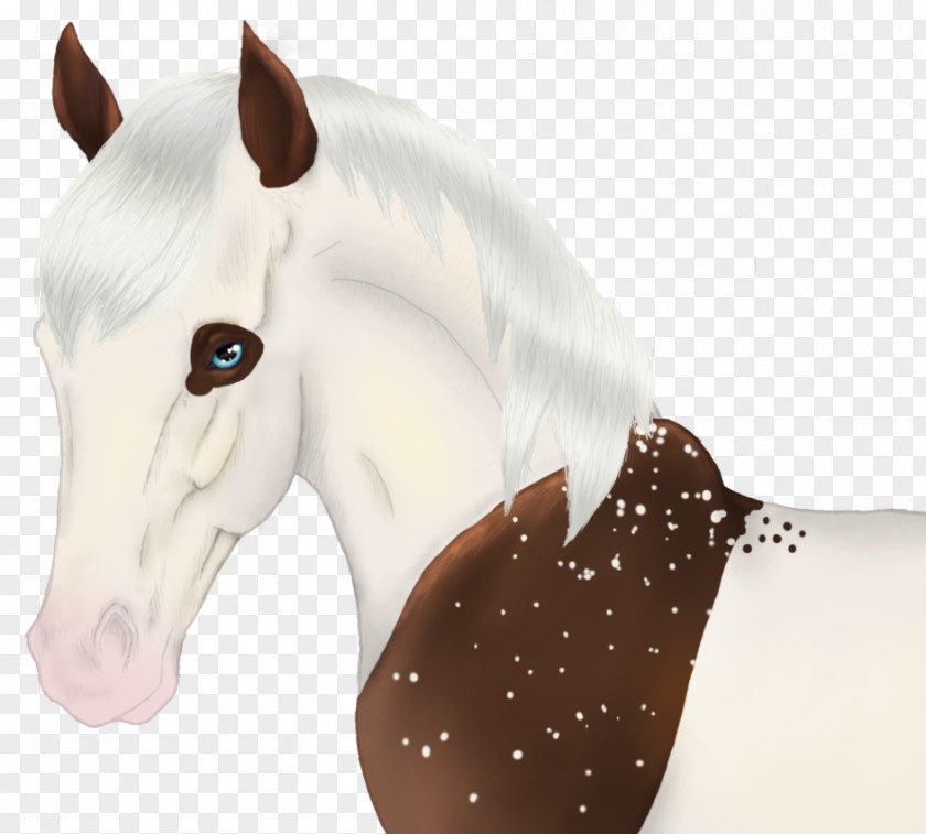 Mustang Halter Pony Freikörperkultur Snout PNG