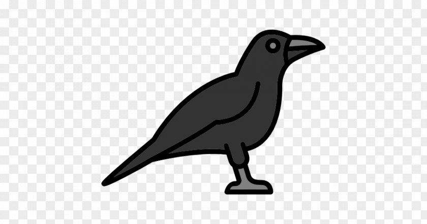 Vector Raven American Crow New Caledonian Common Bird PNG
