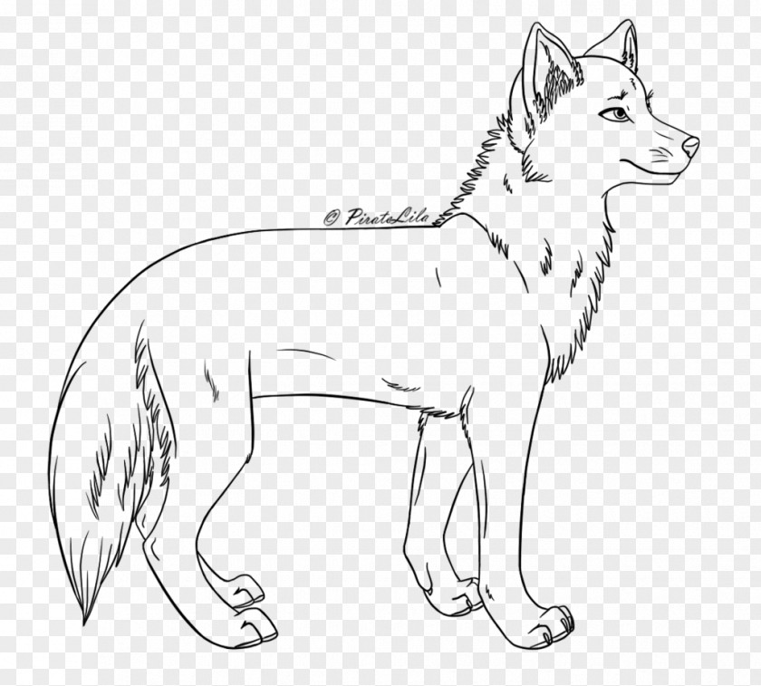 Fox Line Art Red Drawing PNG