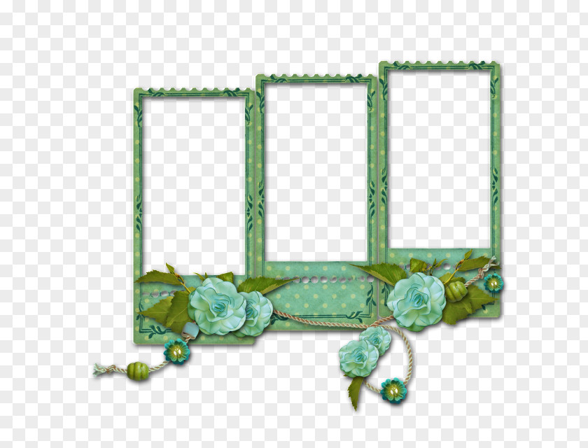 Green Board Picture Frames Photography PNG