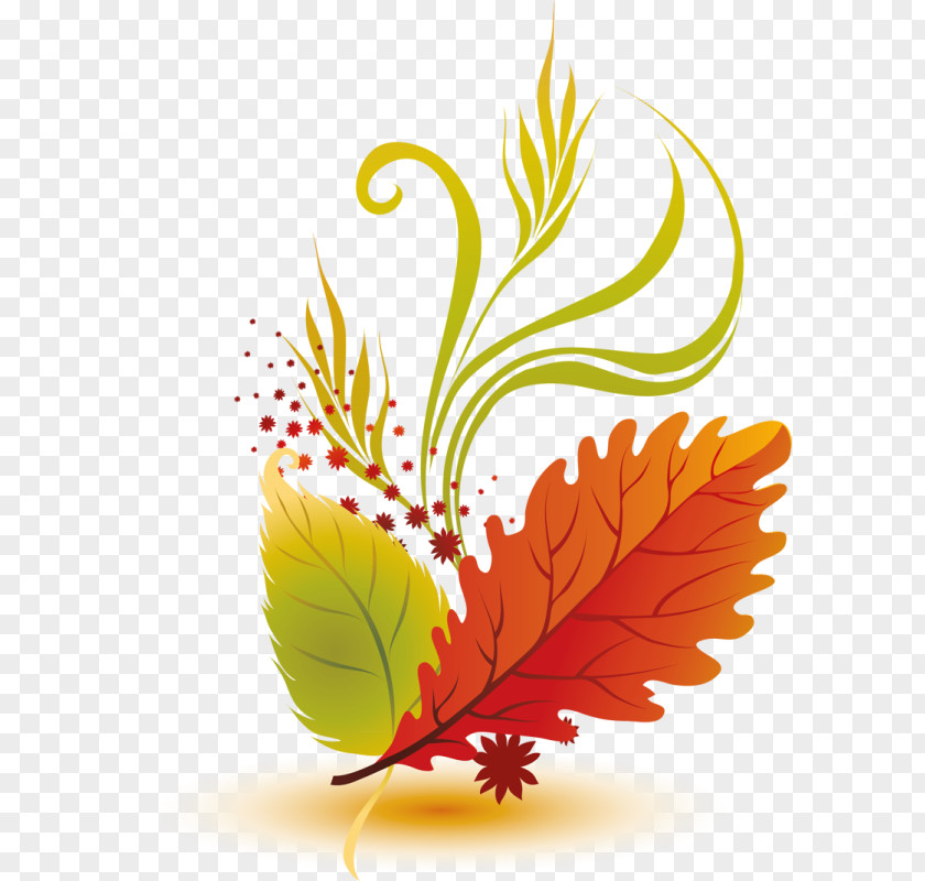 Leaf Autumn Color Leaves Clip Art PNG