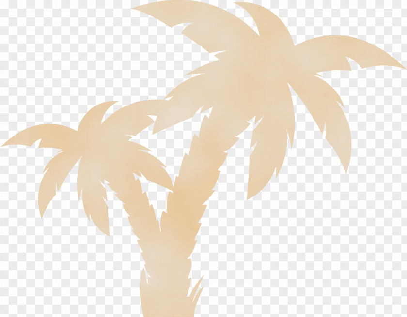 Palm Trees PNG